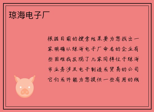琼海电子厂
